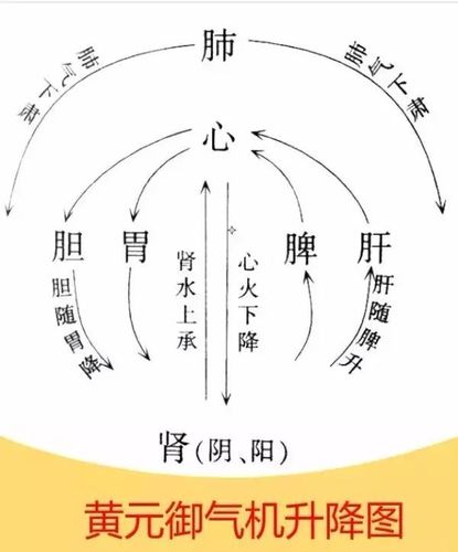 宝宝腹泻可委屈一气周流就能愈