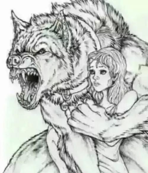 狼铅简笔画集