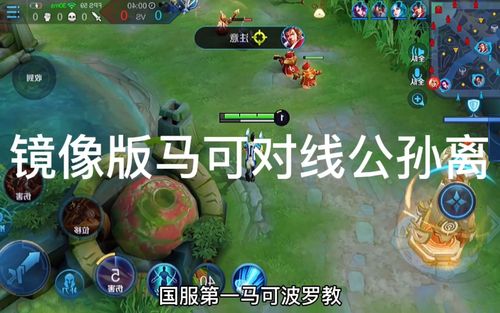 国一马可对线公孙离
