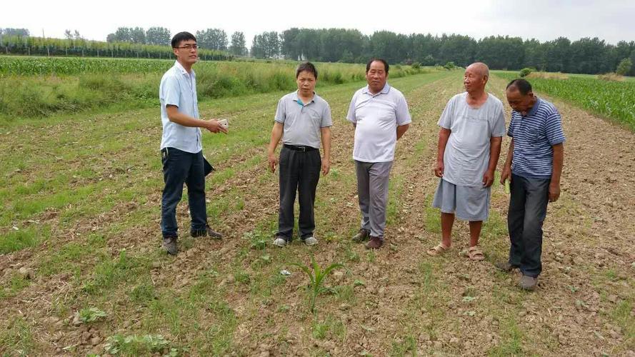 精准扶贫脱贫攻坚——河南省新蔡县河坞乡柏围孜在行动