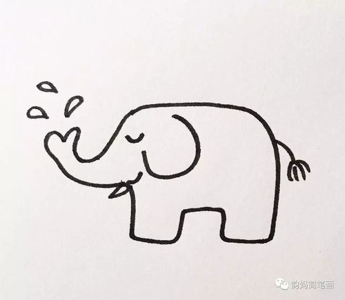 韵妈教你简笔画一起来画动物园