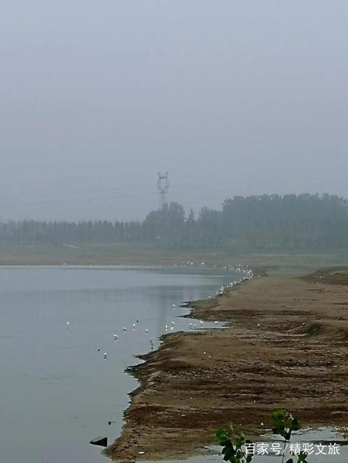 焦作:十里大沙河 翩翩白鹭飞