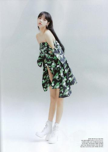 lisa写真:"花仙子"到日系女孩