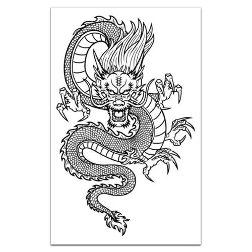 中国龙图腾火龙青龙红龙金龙虎元素图案线稿 eps矢量设计素材-淘宝网