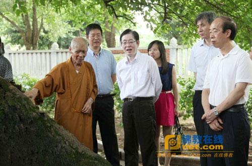 泉州市佛教协会名誉会长道元长老向王作安局长一行介绍寺内古树情况