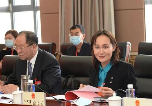 闫廷)日前,内蒙古乌兰察布市委副书记,代市长奇飞云在内蒙古察右前旗