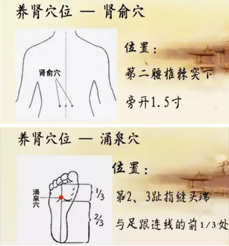 下面就由小编来告诉你