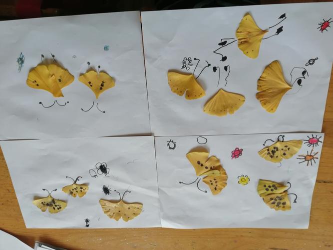 银杏叶粘贴——蝴蝶飞飞