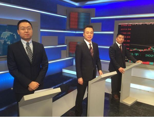 山东新能泰山发电股份有限公司公司简介