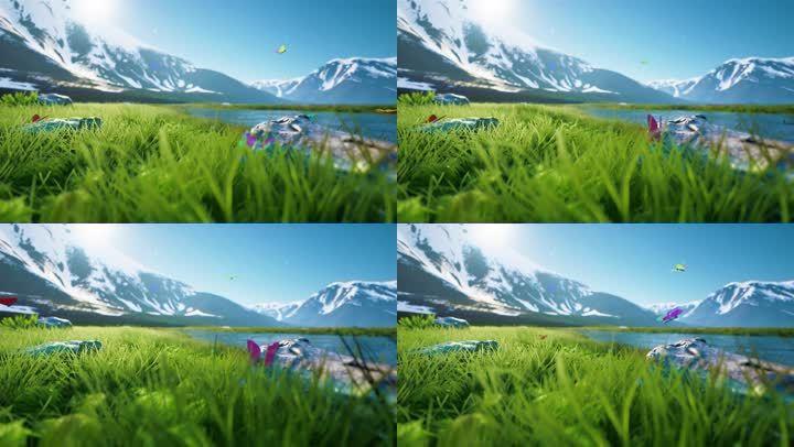 4k天空雪山草地蝴蝶自然风景