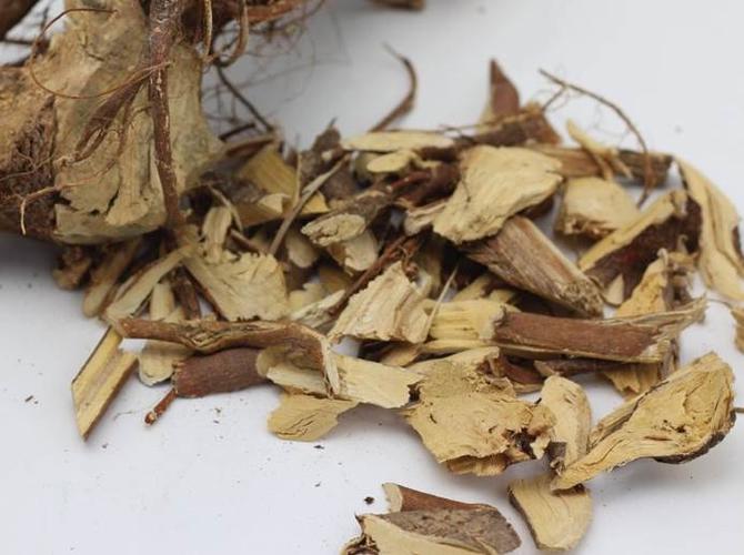 七指毛桃的功效