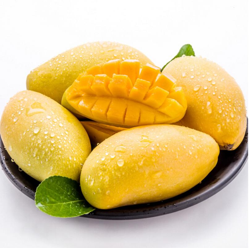 高乐蜜 font color=red>芒果 /font>5斤新鲜包邮香甜非越南玉芒 font