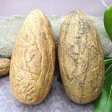 千眼菩提子原籽 鳄鱼果 精品通货长度5-10厘米 无虫眼无坏果_阿里巴巴