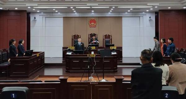 南昌一涉黑组织案公开宣判_罗某林