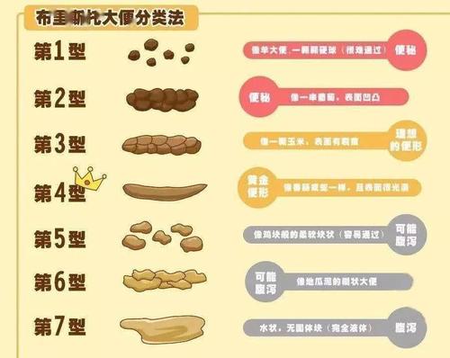 如何淡定,优雅地接受大便常规检查?