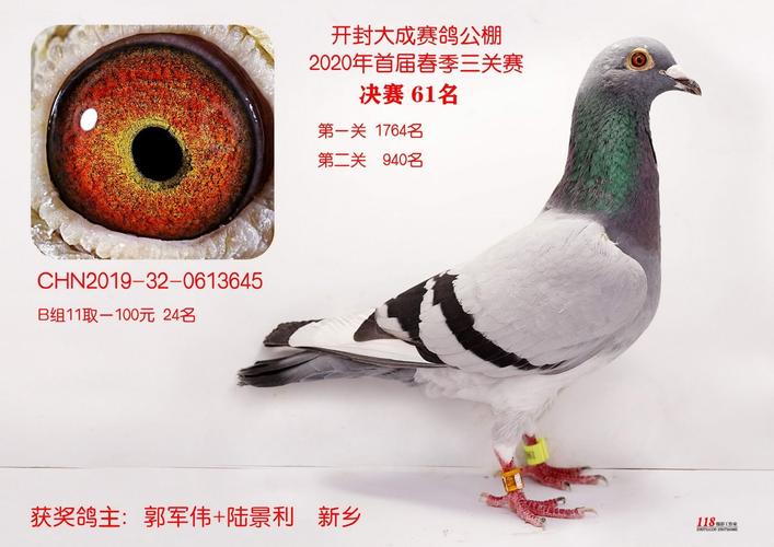 大成公棚决赛第61名 -- 开封大成赛鸽公棚