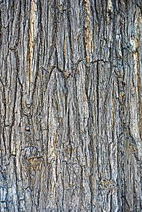 粗糙树皮纹理底纹