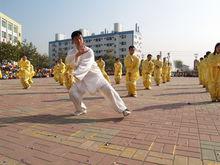 白义海大师在东莞教习太极拳