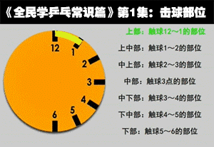 《全民学乒乓常识篇》第1集:乒乓球击球部位