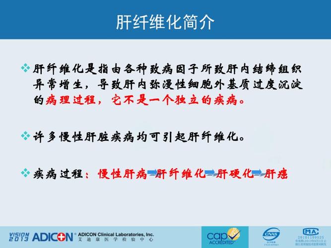 肝纤维化检查的临床意义ppt