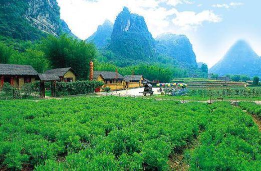 怀集风景图片,怀集旅游景点照片/图片/图库/相册