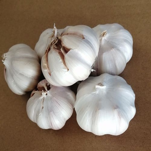 新鲜紫红白皮大蒜头2020年新蒜鲜蒜头5斤农家自种精选