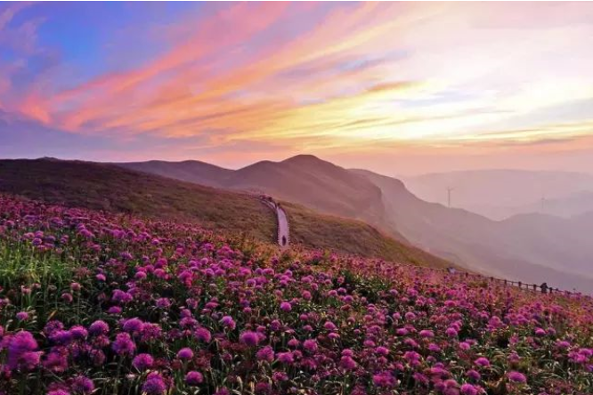 登上山顶 感受山巅如台,云雾缭绕 大小韭菜坪 一个"贵州屋脊" 一个