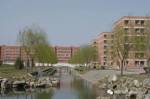 盛产小镇做题家?西峡县一高,是否真如外界传言那般