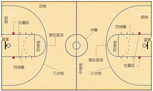 篮球运动技术从入门到精通(全彩图解第3版)