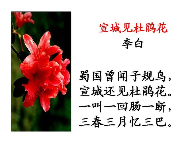 李白《宣城见杜鹃花