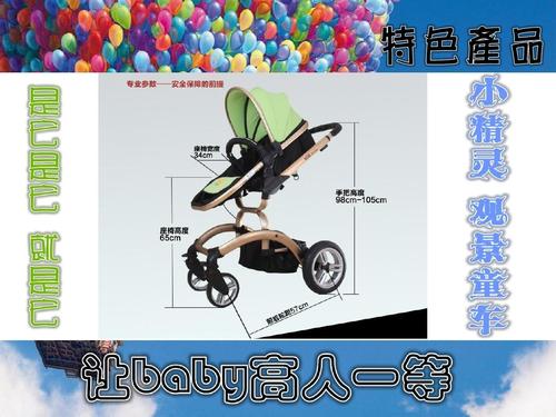 小精灵童车制造有限公司——营销策略(涂秋莲小组)ppt