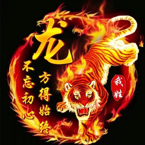 2019最新霸气姓氏头像火龙与虎为主题喜欢的来吧
