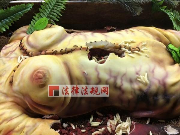 血染断手,女尸破肚长满白蛆.这样的蛋糕你敢吃吗?