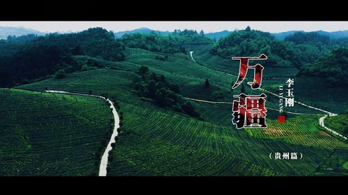 《万疆》mv贵州篇上线!李玉刚行于秀丽山水,宛如画中游