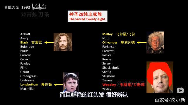 魔法探秘者 青蛙刀圣