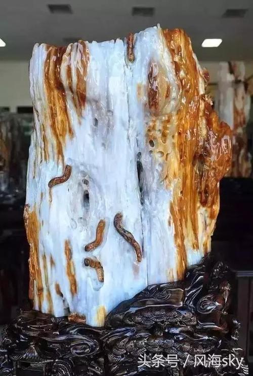 而且有虫子和树叶的树化玉还更值钱.