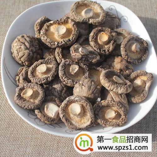 卢氏县鑫志鸿食品有限公司
