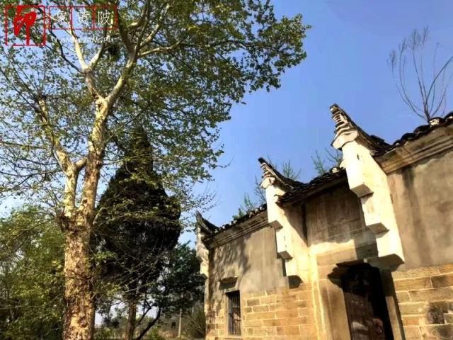 回望故乡——黄陂长堰