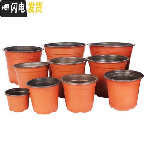 三维工匠简易加厚一次性塑料花盆育苗盆大号营养钵培育盆多肉种植盆