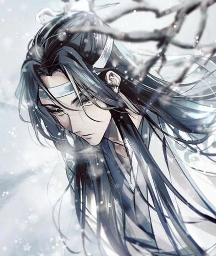 (在蓝忘机怀里撒娇)