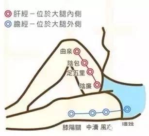 三伏天敲打肝胆经