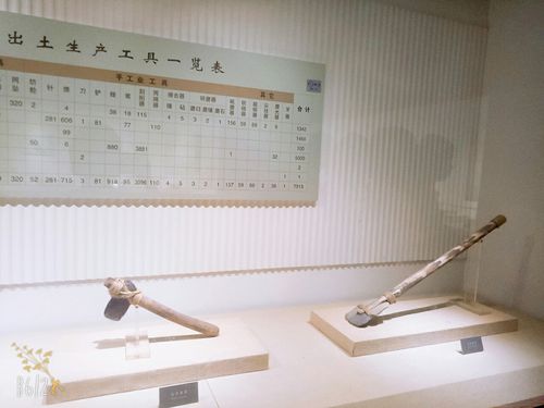 半坡人的生产工具