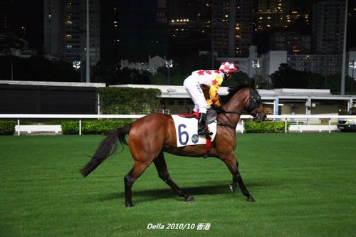 [转载]{香港}跑马地现场直击赛马
