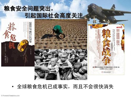 粮食安全问题突出, 引起国际社会高度关注   全球粮食危机已成事实