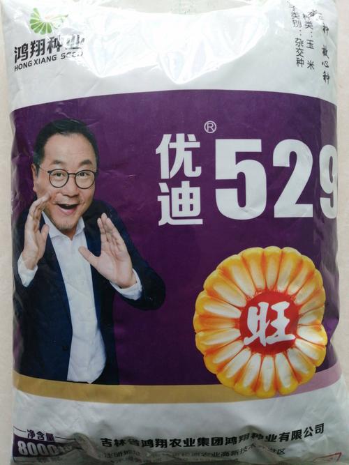 玉米种子优迪529放心种放心种