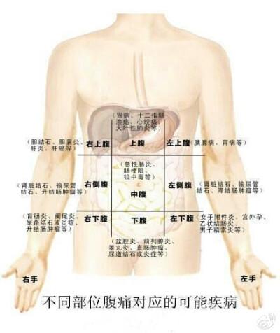 医生说,疼痛部位,剧烈程度等不同,对应的疾病可能也不同.
