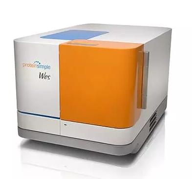 proteinsimple的simple western技术是基于wes仪器平台,对传统western