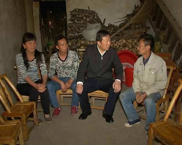 王远鹤走访崇阳天城镇茅井村