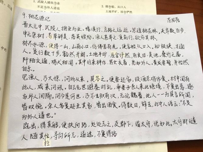 八(2)班书写比赛作品展2《桃花源记》