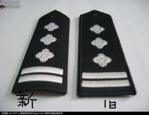 [原创]2012款制式肩章 - 警用装备 - 铁血社区